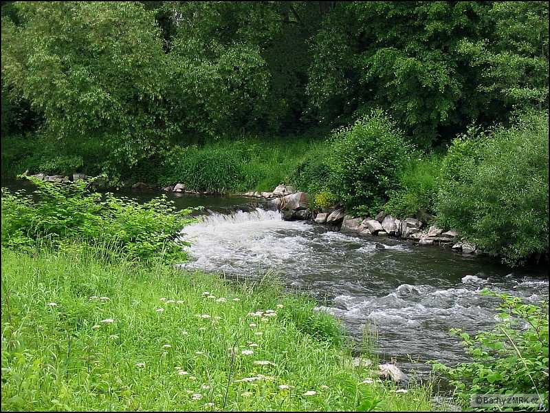 Moravice