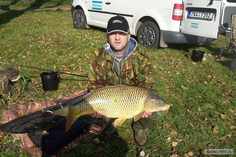 kapr 83 cm a 9,70 kg