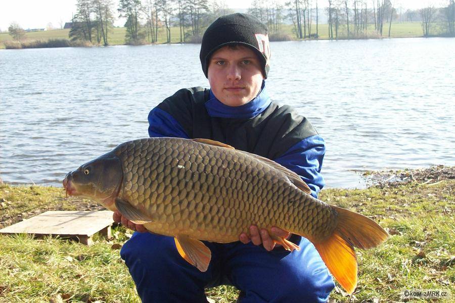 kapr 73 cm a 8,10 kg