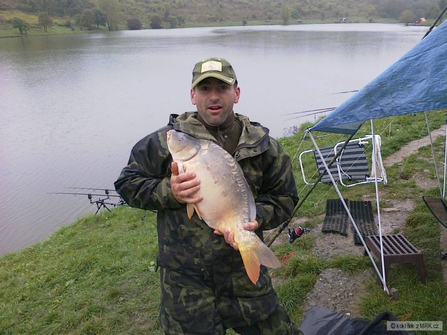 2010
