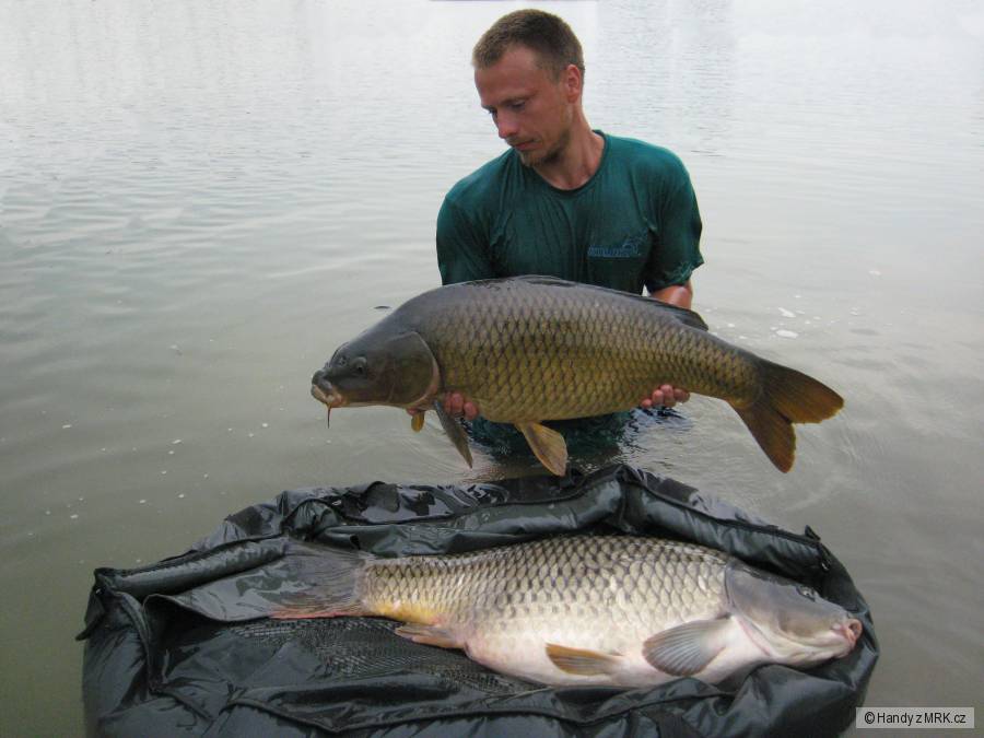 Duo carp