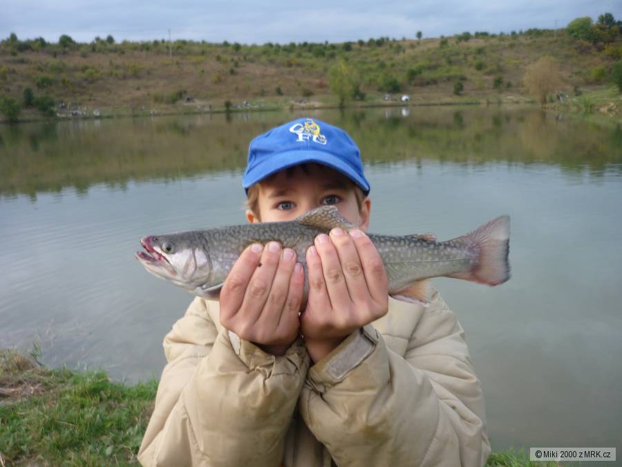 Siven z Jestřabic 2009