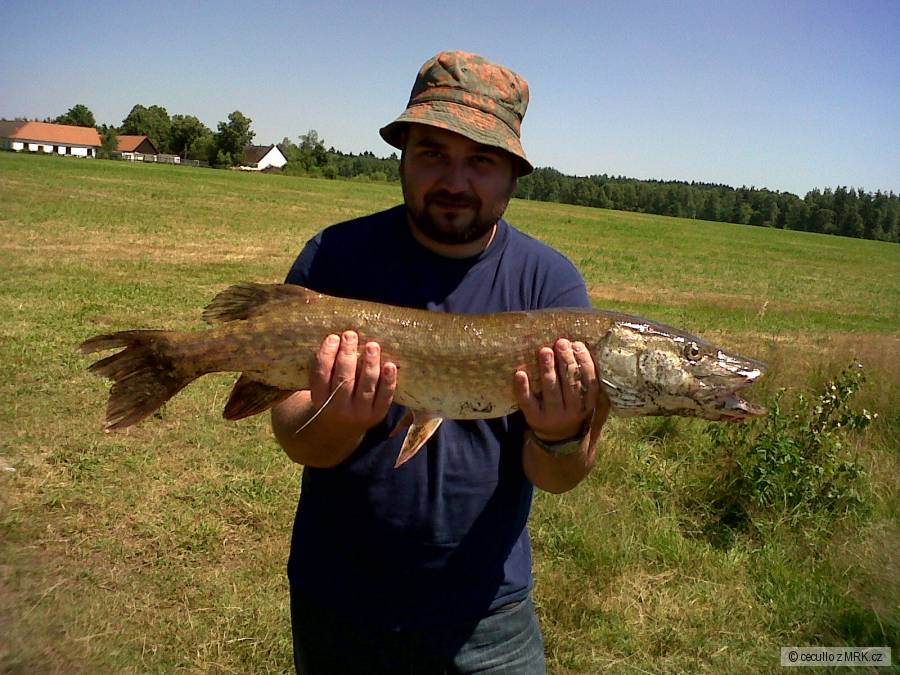 Štika 2 (85cm)