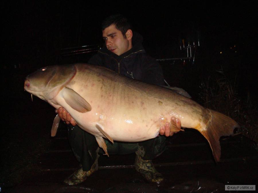 kapr 102cm - 23kg
