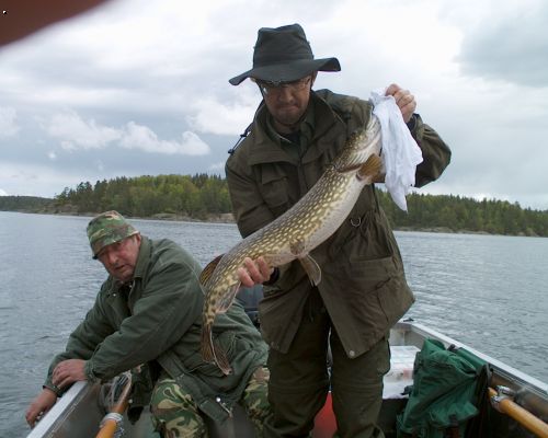 �v�dsko 2004 - �tika