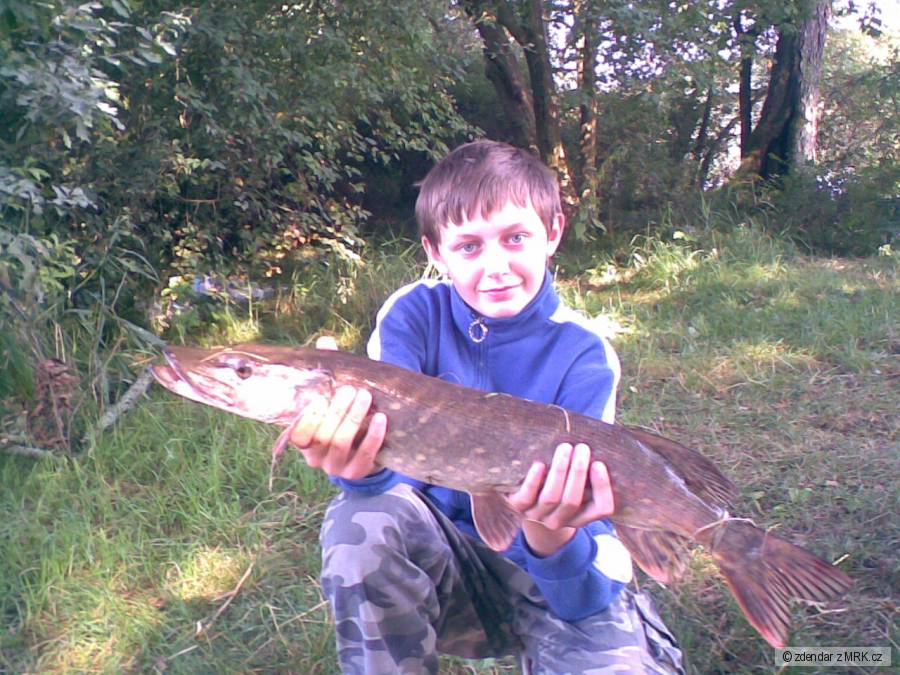 65cm,2,9kg