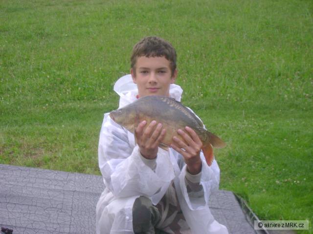 kapr obecný 47