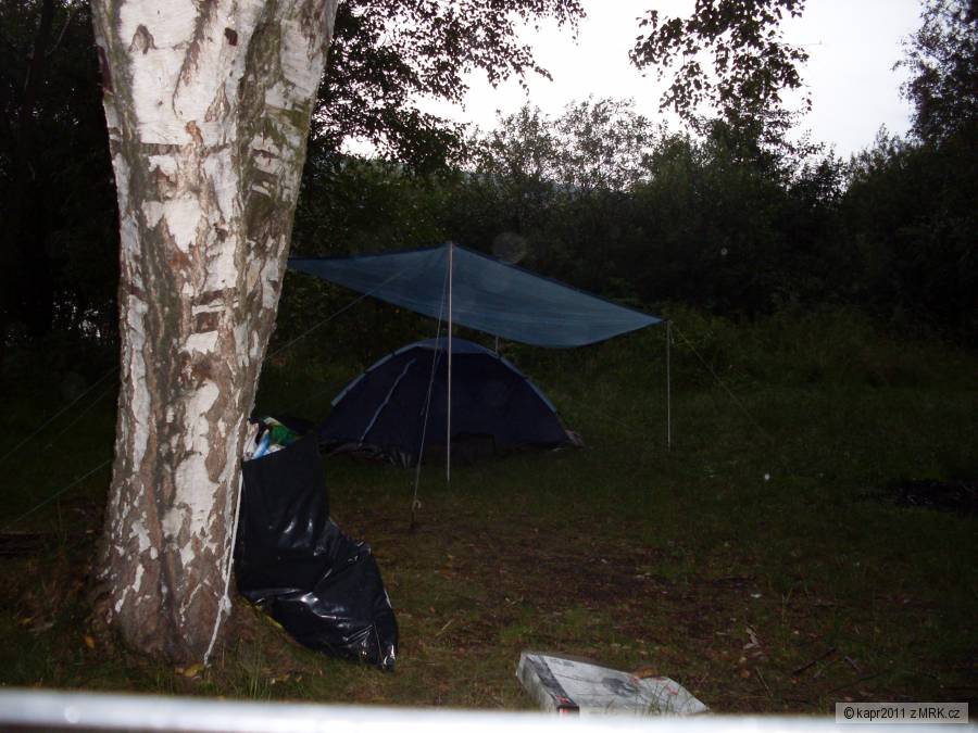 LETO 2010