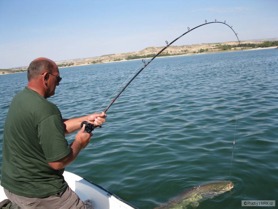 EBRO2010