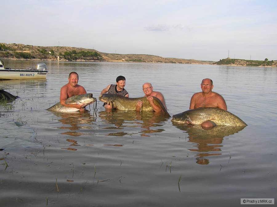 EBRO 2010