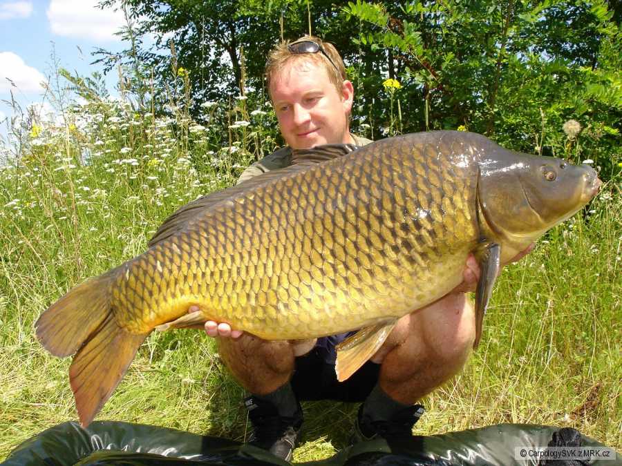 93cm 14kg