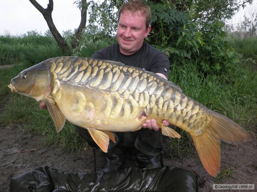 Full scale mirror
