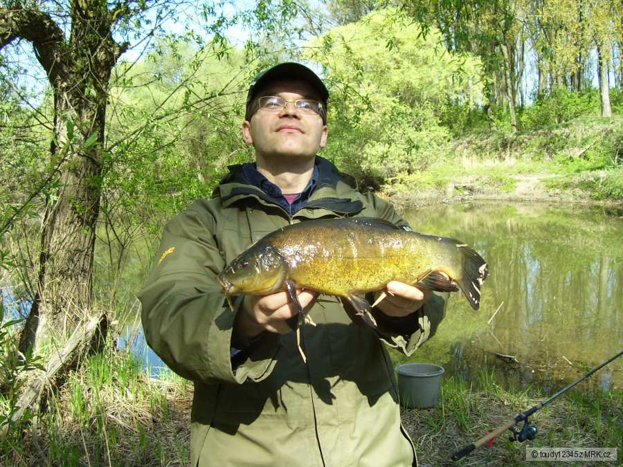 lieň