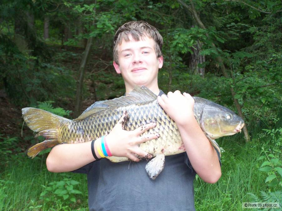 Mega Fish
