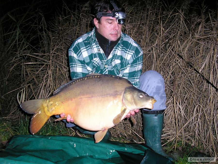 76cm 10,5 kg