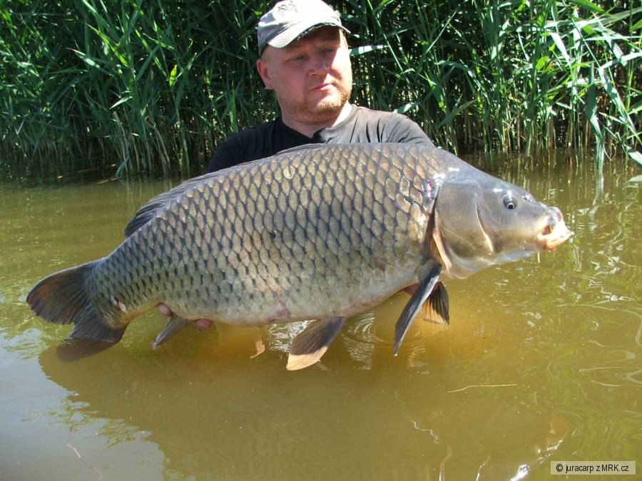 šupík 16,1kg