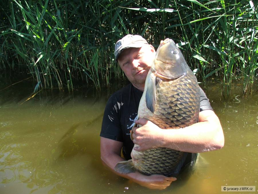 vzal boilí 34mm 12,8kg