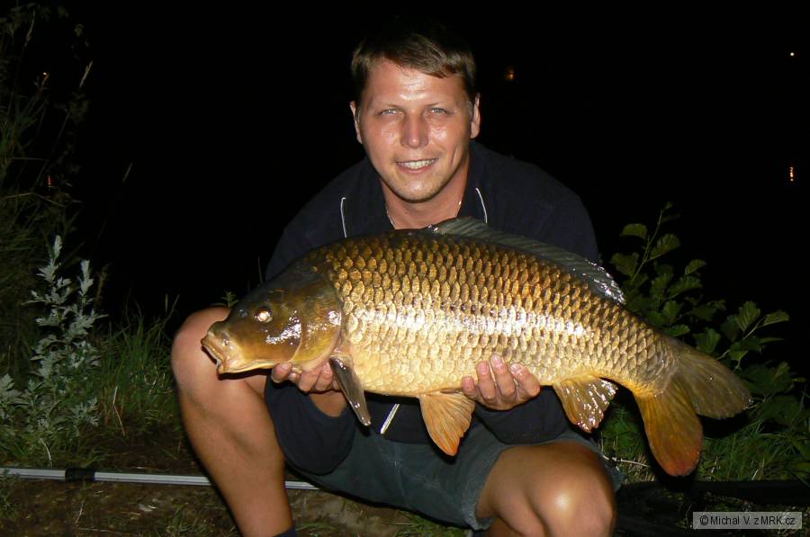Vltava 2008