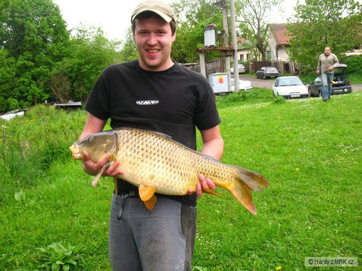 kapřík