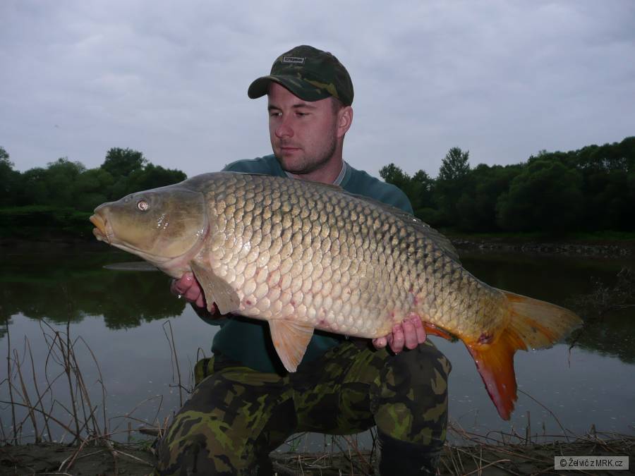 Kapřík 9,7 kg :-)