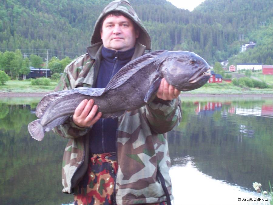 Norsko 2010