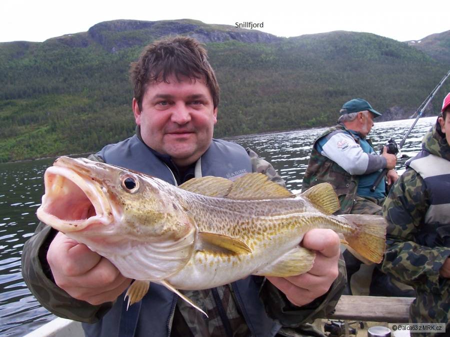 Norsko 2010