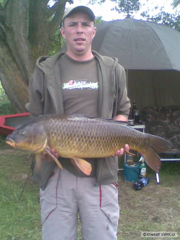 sazan 86cm,9.8kg