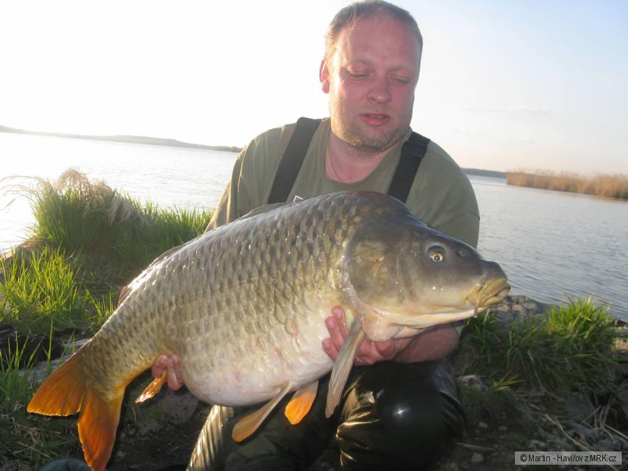 93 cm 16 kg