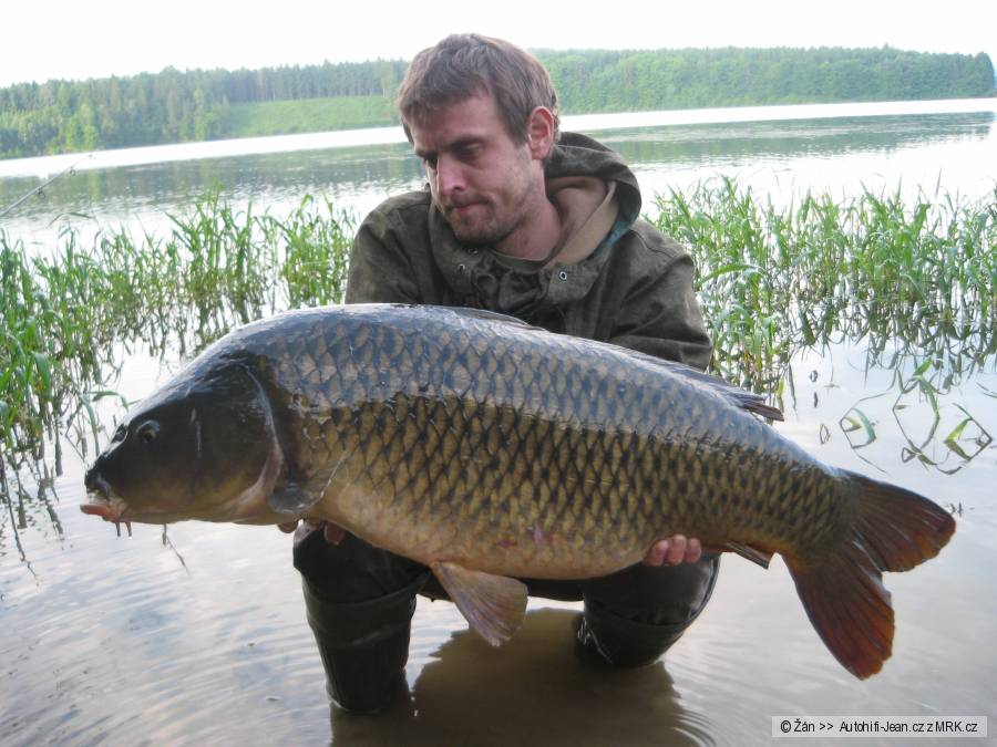Začátek léta.. 2010