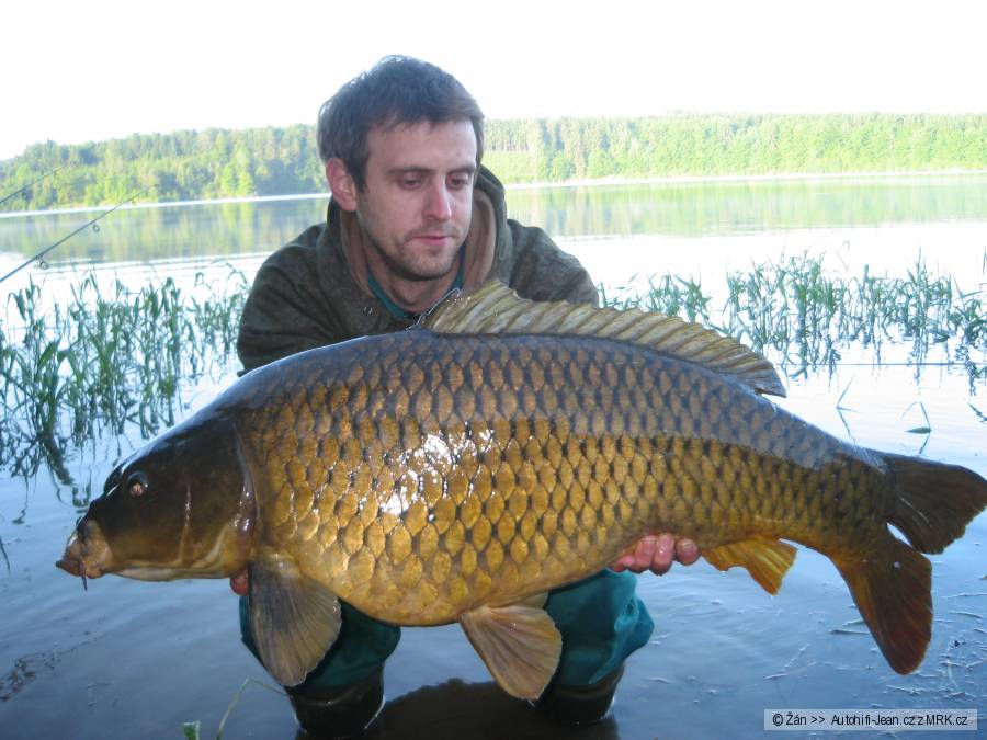Začátek léta.. 2010