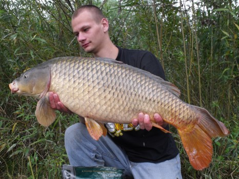82cm, 10kg