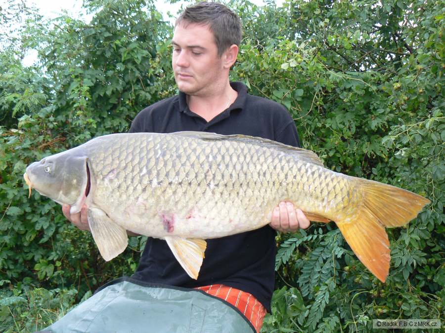 Šupík D5 94cm