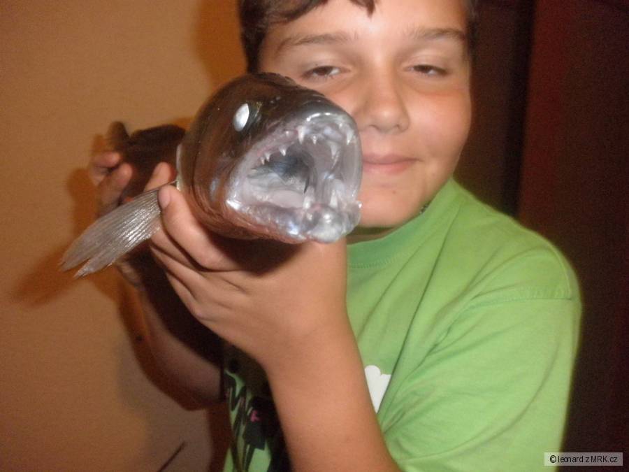 Môj zubáč 56cm