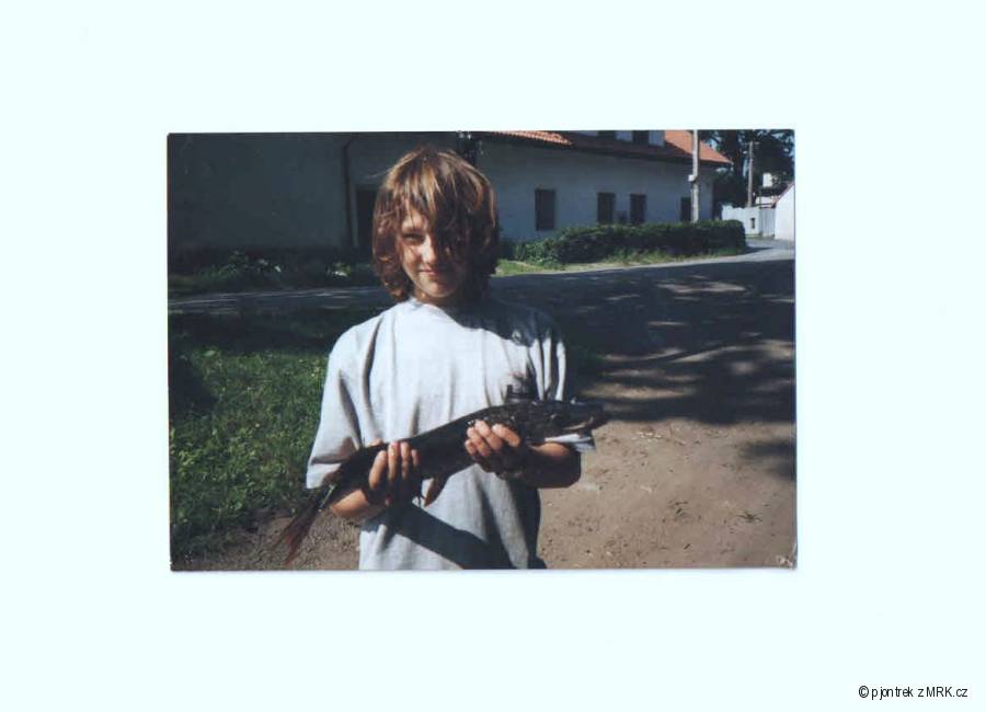začátky