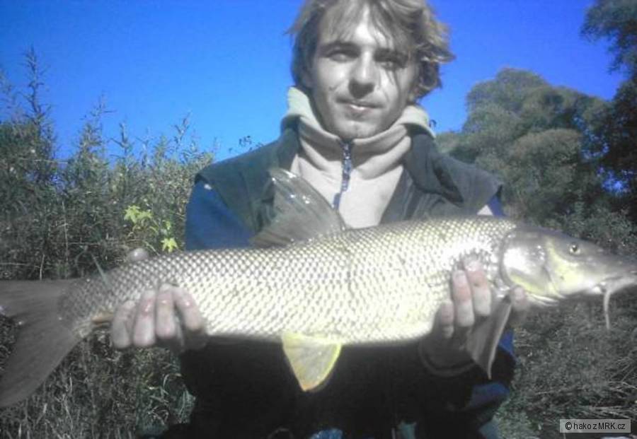 mrena 72cm