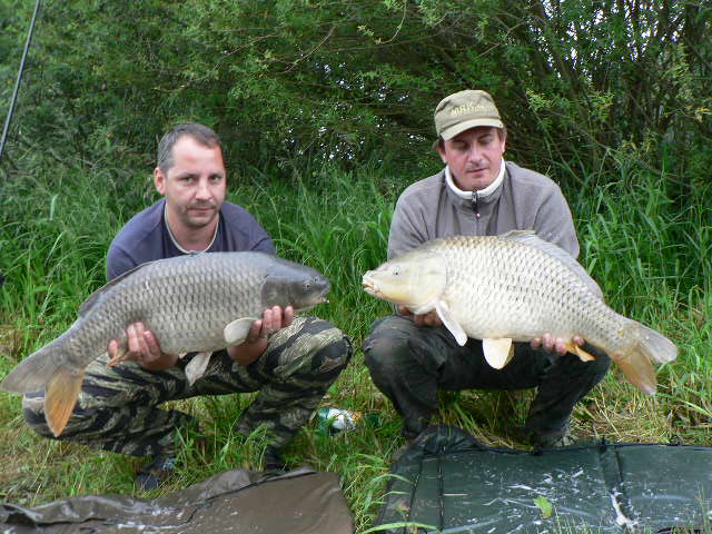 2010