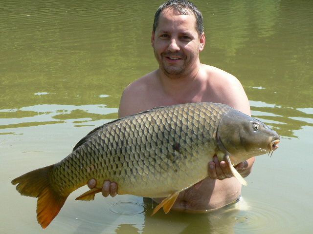 2010