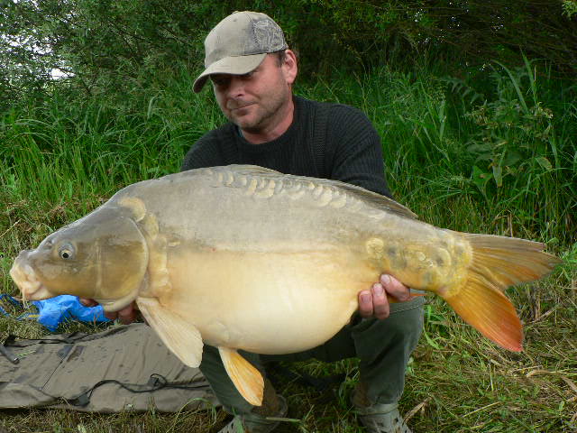 2010