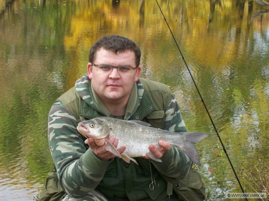 Bolen dravý 2009/10/30 III.