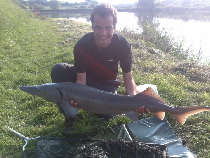 Jeseter sibiřský 127cm