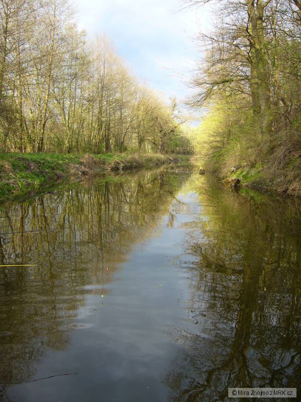 Jevi�ovka 2 