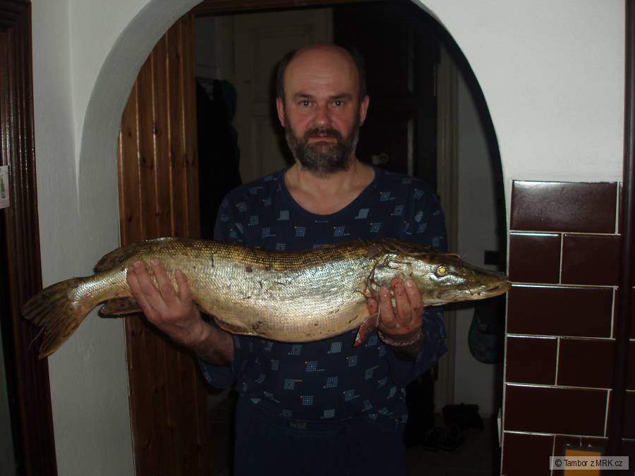Nečekaná