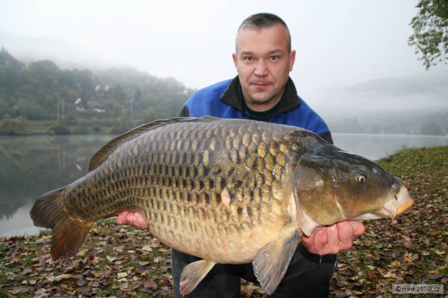 Šupík 18,80kg 92cm