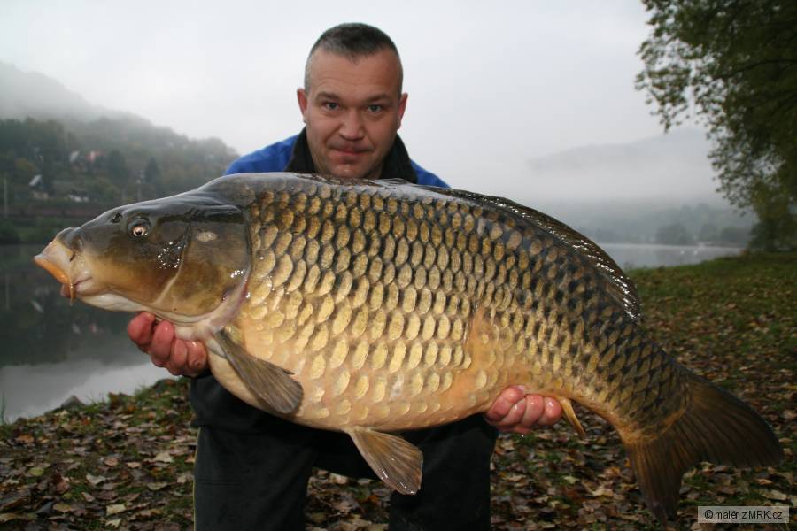Šupík 18,80kg 92cm