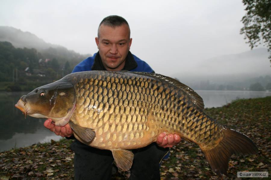 Šupík 18,80kg 92cm