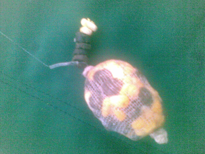 pytlik