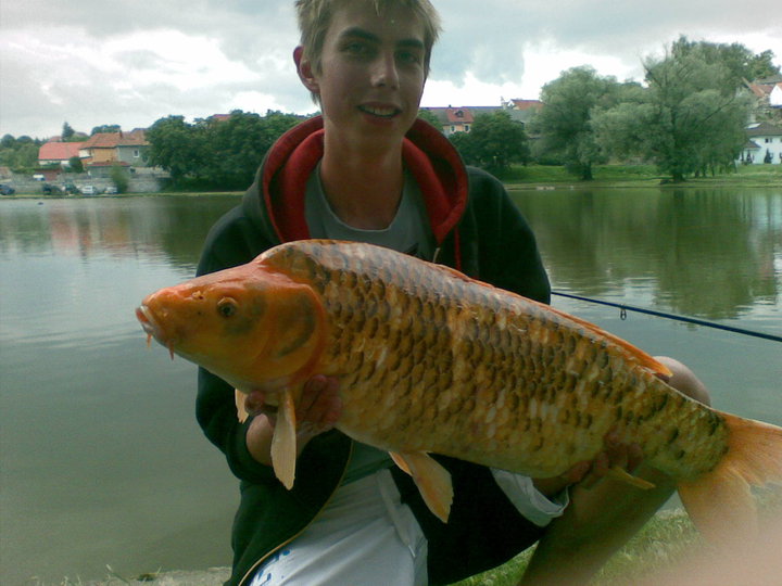 Zlatak