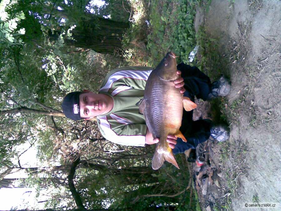 Pasinek