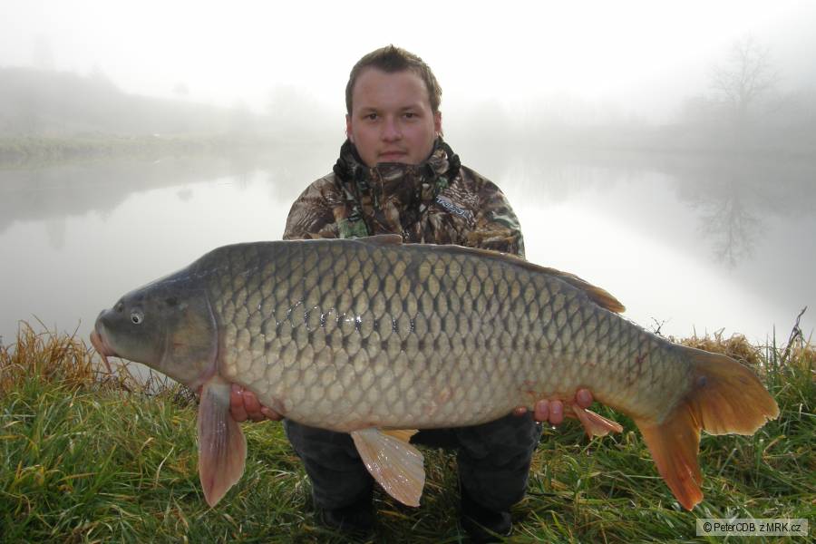 92cm a 11kg