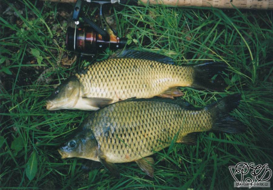 01; Moji první kapři, 12.5.01, Mastník 1
